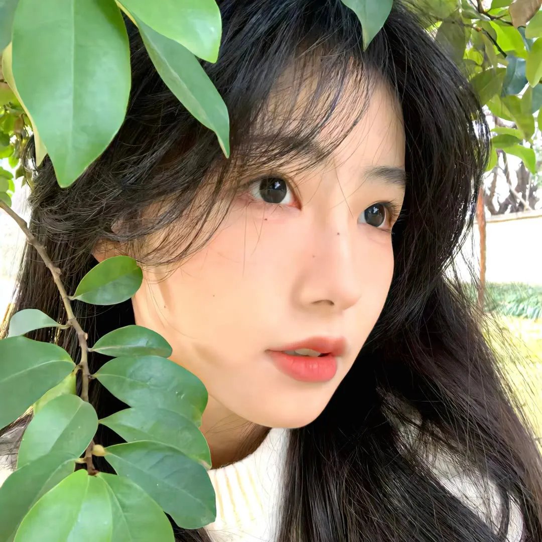 社交网络